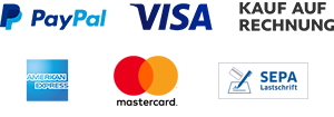 PayPal Logo